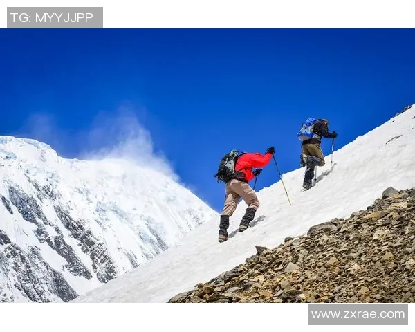 蓝网与魔术精彩对决第二节回放全景解析与精彩瞬间回顾
